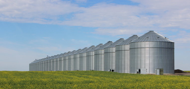 Group of silos in the Canadian Prairies