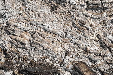 Coals and ashes on the ground