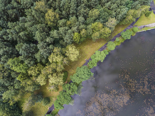 Summer landscape. Green trees at riverbank in Poland.