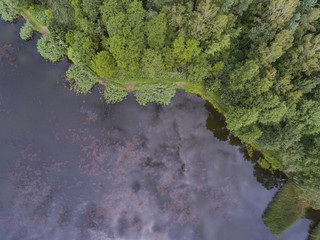 Summer landscape. Green trees at riverbank in Poland.