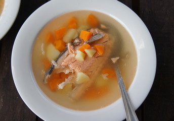 Salmon fish soup