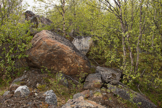 Big rocks in tundra above Arctic Circle, Russia