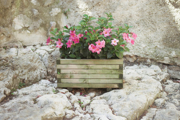 Rural house decorated with flowers in pots, Gourdon France
