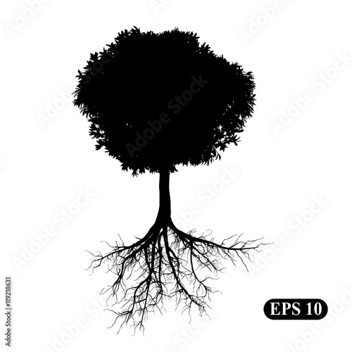 "Tree with roots" Stock image and royalty-free vector files on Fotolia