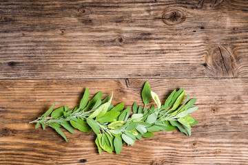 Variegated and green sage on a table