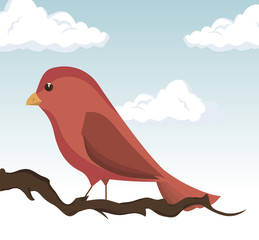 cute ornamental bird icon vector illustration design