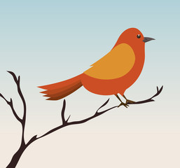 cute ornamental bird icon vector illustration design