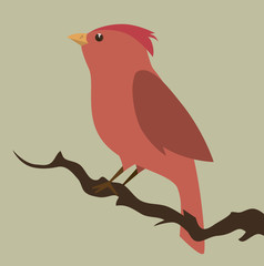 cute ornamental bird icon vector illustration design