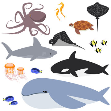 ocean, ocean collection of animals , fish