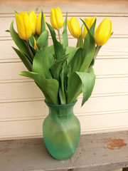 Yellow color tulips in green glass vase      