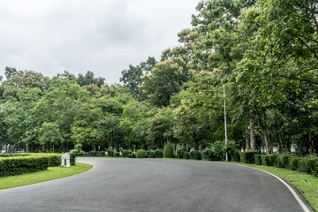 Road in the park