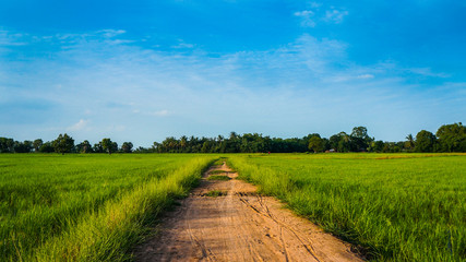 Fototapeta premium Coutryside of Thailand