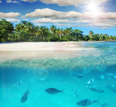 Entspannung, Freude, Auszeit, Glück: Tauchen im Meer bei karibischer Trauminsel :)