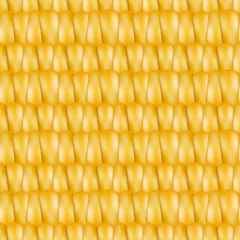 Realistic texture corn, vector illustration.