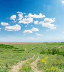 rural road in summer landscape and blue sky with clouds