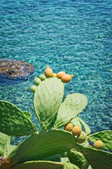 Prickly pears (Indian fig opuntia) on blue Mediterranean sea