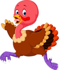 Cartoon turkey running