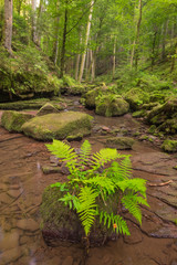 Wasserfall