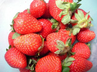 fresas 