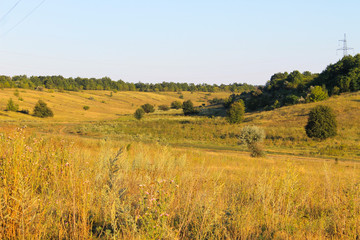 Obraz premium Summer landscape with meadow, trees and hills