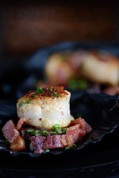 Scallop
