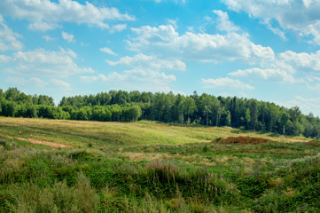 Fototapeta premium field of grass and perfect sky