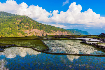 Reisfelder Sagada