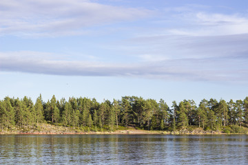 Forest and water landscape