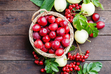 Plums in a basket, apples and rowanberry