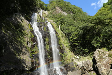 Fototapeta na wymiar 奈良県の千尋の滝