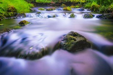 Kleiner Fluss im Brandenburg