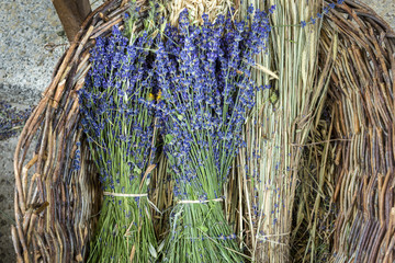 Bunch of lavender flowers in a lavender Store