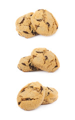 Chocolate chip cookie isolated