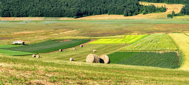 Parco di Colfiorito (Umbria)