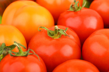 Tomato, close up