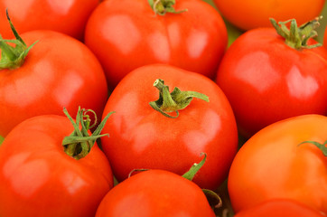 Tomato, close up