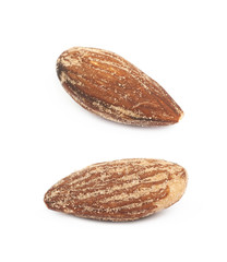 Almond nut isolated