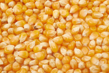 Surface coated with corn kernels