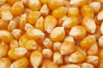 Surface coated with corn kernels