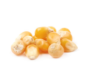 Pile of corn kernels isolated