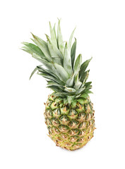 Fototapeta premium Ripe pineapple fruit isolated
