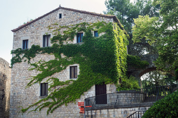 Wall house, braided with ivy