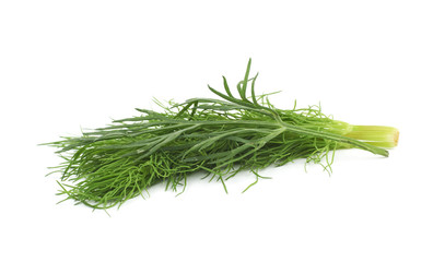 Dill herb isolated