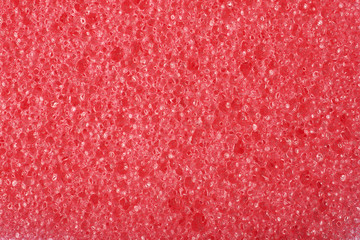 Close-up texture of a sponge