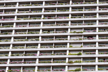 Facade building with windows and flowers