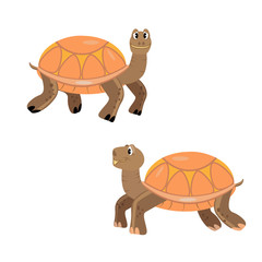Turtles cartoon, orange, smile, isolated
