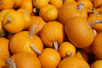 piles of pumpkin as food background