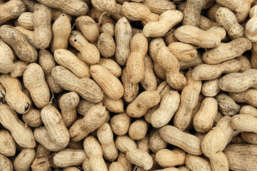 peanut in shells, food background