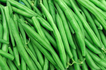 green bean background