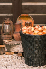 Vintage still life with onion and basket